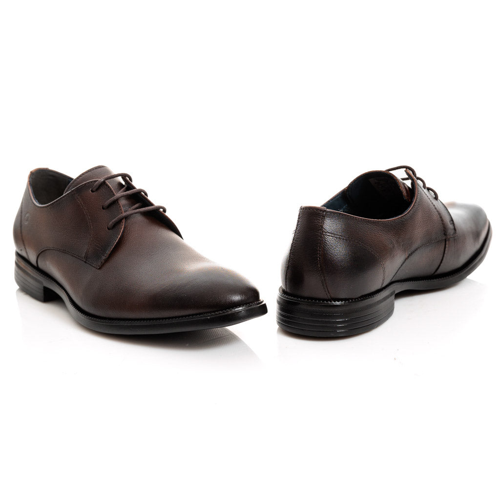282204-002 MOGNO DEMOCRATA