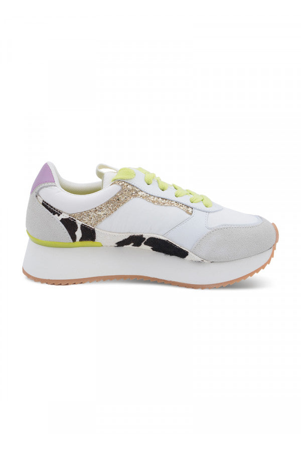 74280-GIOSEPPO Cow