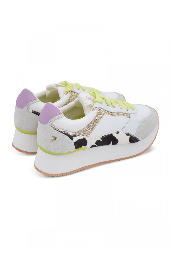 74280-GIOSEPPO Cow