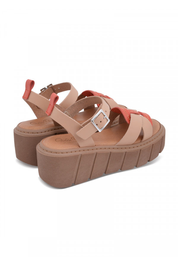 5872 PERA CARLO PELLE-ROS-APALLIDO---PORPORA