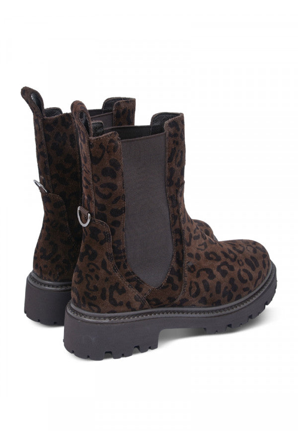 612304-PIXY BROWN LEOPARD