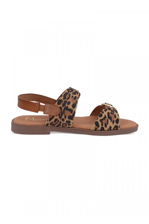 GOIA** AVELLANA/LEOPARDO MARILA