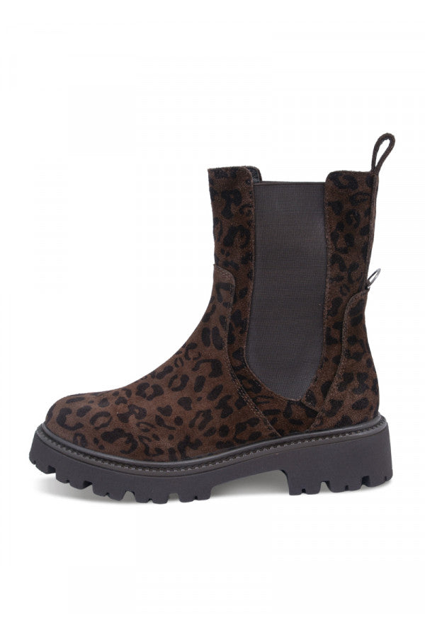 612304-PIXY BROWN LEOPARD