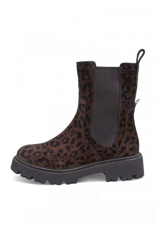 612304-PIXY BROWN LEOPARD