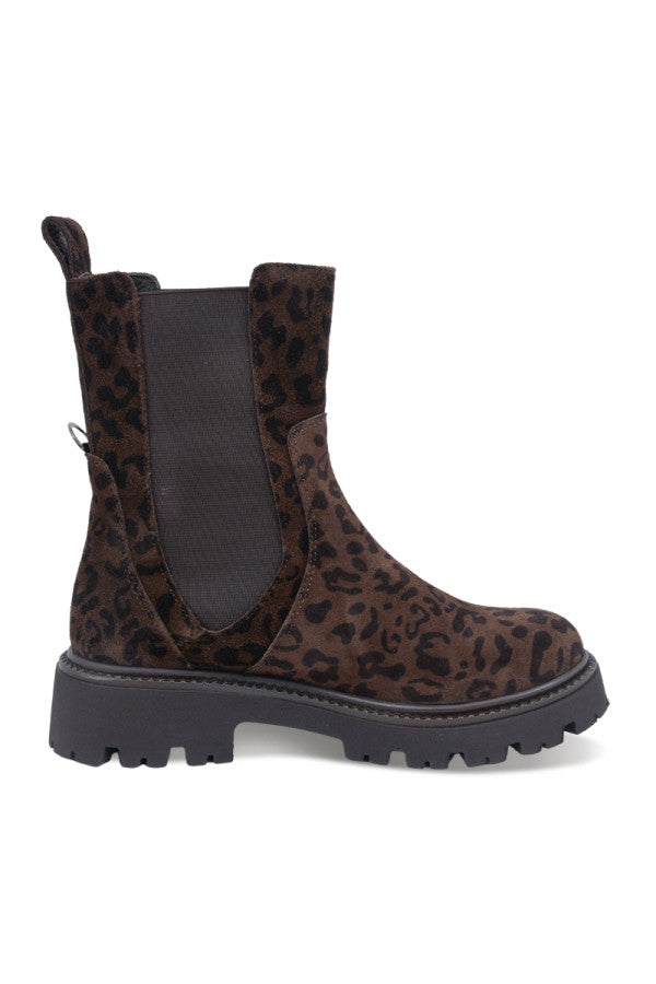 612304-PIXY BROWN LEOPARD