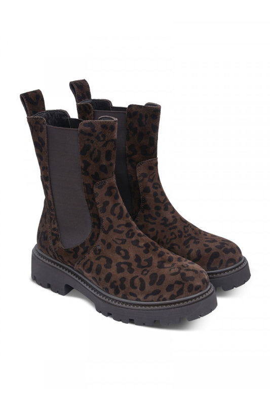 612304-PIXY BROWN LEOPARD