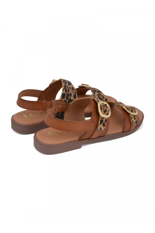 GOIA** AVELLANA/LEOPARDO MARILA