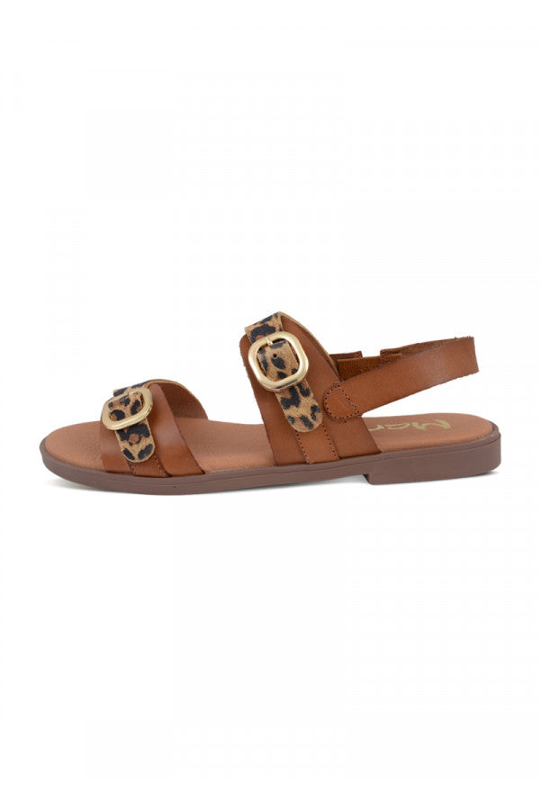 GOIA** AVELLANA/LEOPARDO MARILA
