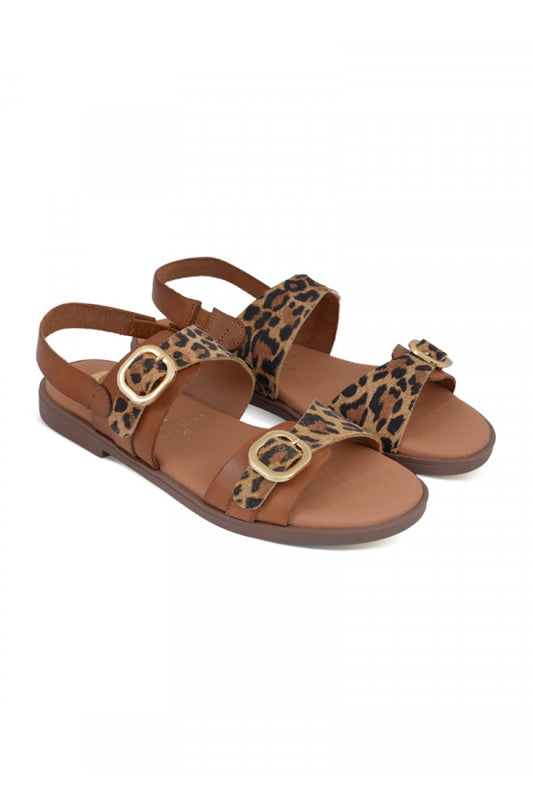 GOIA** AVELLANA/LEOPARDO MARILA