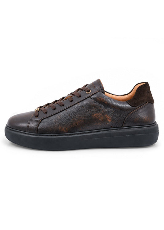 14256-7623AM Brown AMBITIOUS