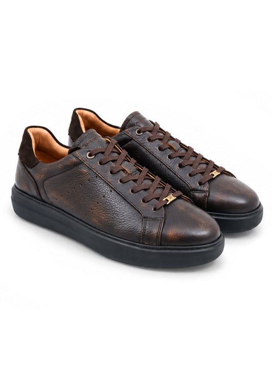 14256-7623AM Brown AMBITIOUS
