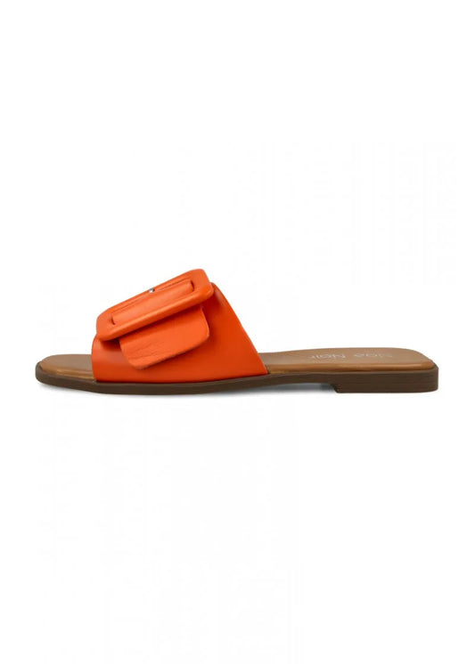 43603 NM-NOA NOIR ORANGE