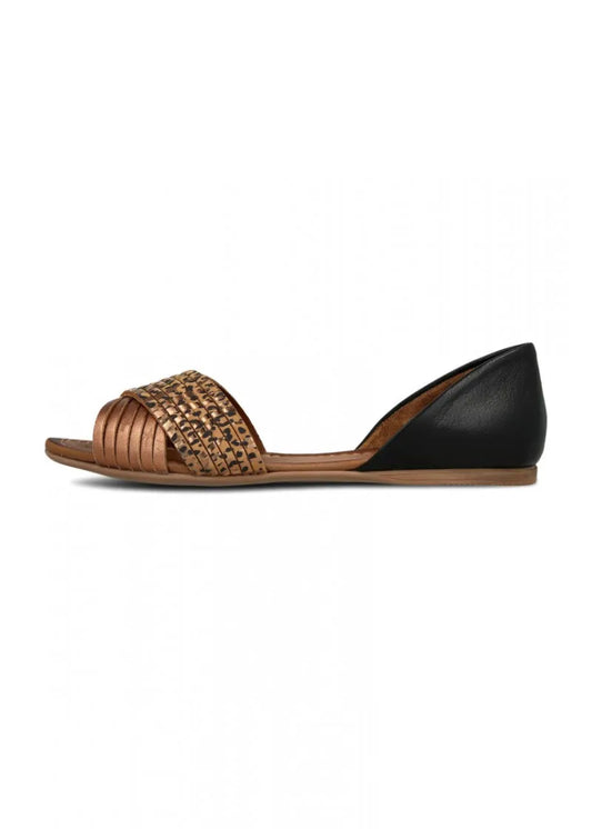 23WJ2122-TARTUFFE COCONUT-METI   BUENO